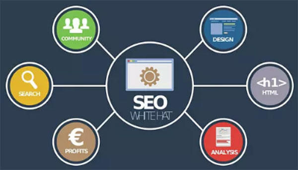 SEO、優(yōu)化、網(wǎng)站優(yōu)化